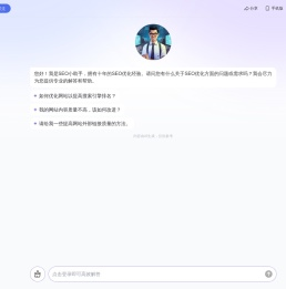 seo优化