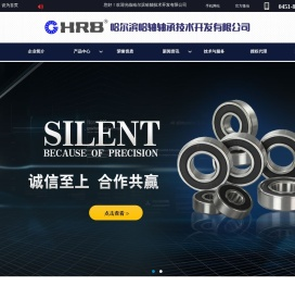 哈尔滨哈轴轴承技术开发有限公司