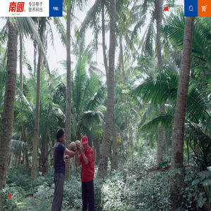 南国食品-绿色南国_健康生活
