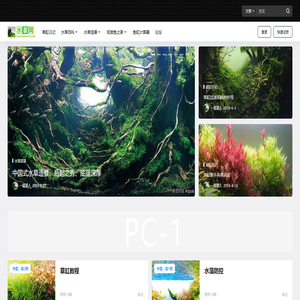 水草网 – 水草造景-水草百科-水草爱好者之家！