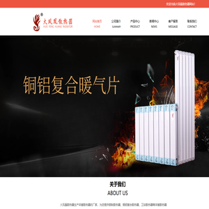 火凤凰散热器_天津火凤凰散热器技术有限公司