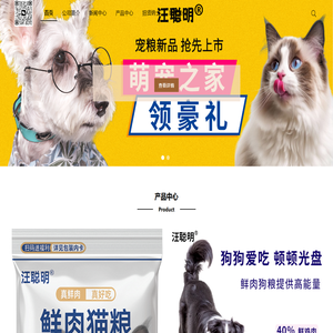 汪聪明宠物食