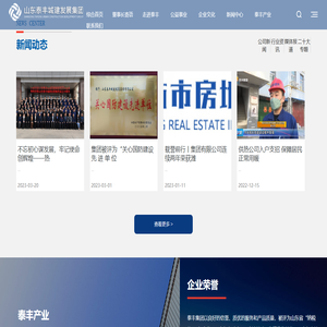 山东泰丰城建发展集团有限公司