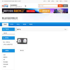 黄山金马股份有限公司