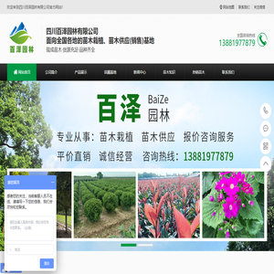 四川绿化苗木_苗木基地_苗木价格_苗木批发-四川百泽园林有限公司