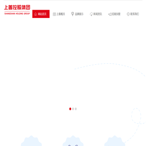 江西上善控股集团有限公司江西上善控股集团有限公司
