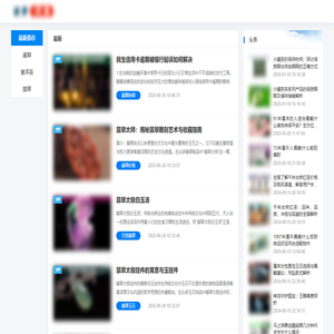 波罗行业