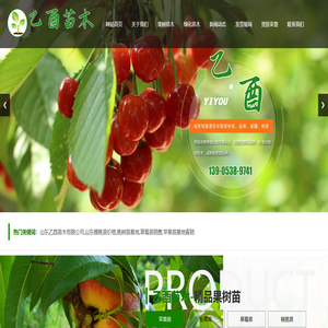 山东乙酉苗木有限公司,山东樱桃苗价格,桃树苗基地,草莓苗销售,苹果苗基地直销