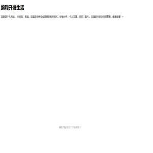 编程开发生活