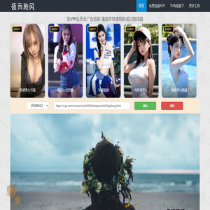 夜雨聆风VIP视频解析