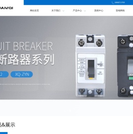 乐清市旋奇电器有限公司