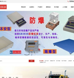 地磅-电子吊秤-防爆电子秤-上海香川电子衡器