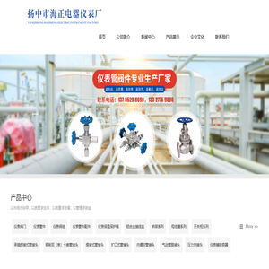 扬中市海正电器仪表厂