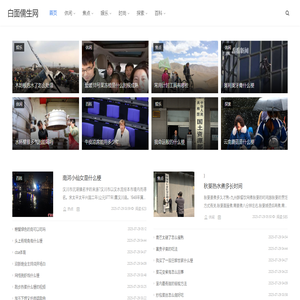 白面儒生网