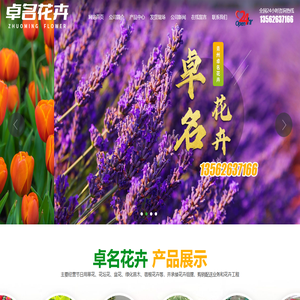 青州市卓名花卉苗木有限公司_青州花径,青州水生植物,青州时令草花,青州宿根花卉