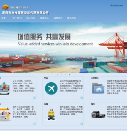 深圳市兴海国际货运代理有限公司