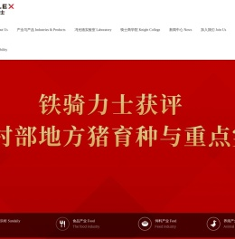 铁骑力士