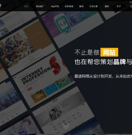 上海建站公司-高端网站建设|制作|推广|优化-小程序开发-星途网络