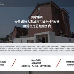 抱家集团-专注超特大型城市“城中村”改造