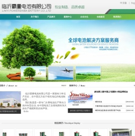 临沂霸量电池有限公司