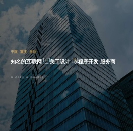 重庆专业网页设计制作