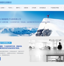 上海锦康电子仪表有限公司