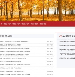 羊小咩便荔卡包额度提现出来_羊小咩便荔卡包额度怎么提现出来「安心掌柜」