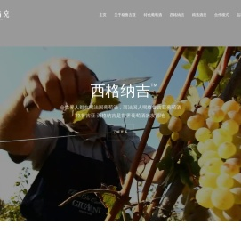 绍兴帕乌克进出口有限公司