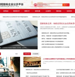 全国招投标企业公示平台
