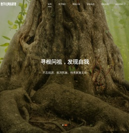 数字化网络家谱,电子家谱,在线族谱管理系统【定制开发】 - 宗谱云