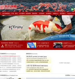 东方锦鲤-高品质锦鲤养殖场