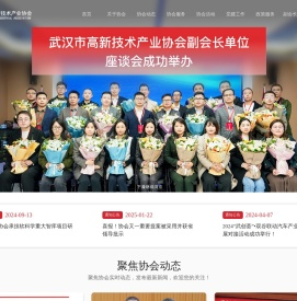 武汉市高新技术产业协会