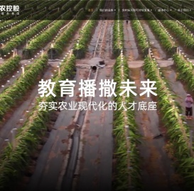 丰农控股 - “助力乡村振兴 全产业链现代农业服务集团”