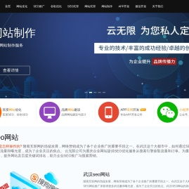 重庆SEO公司_重庆网站优化_重庆SEO优化_云无限