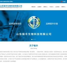 氯化胆碱-山东银丰生物科技有限公司