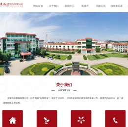 金陵药业股份有限公司
