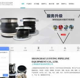 橡胶接头_伸缩器_补偿器_橡胶软接头_可曲挠橡胶接头 - 上海骆盈管道生产厂家