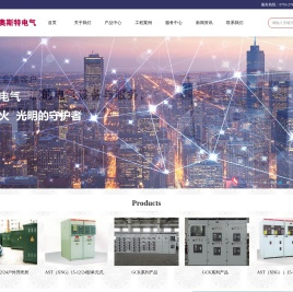 深圳市奥斯特电气技术有限公司