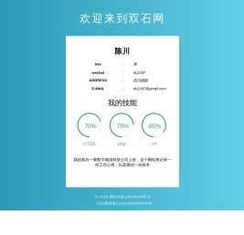 双石网