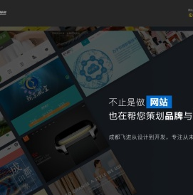 首页 成都飞进网络科技有限公司