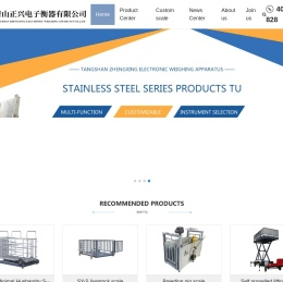 Tangshan Zhengxing Electronic Weighing Apparatus Co., Ltd
