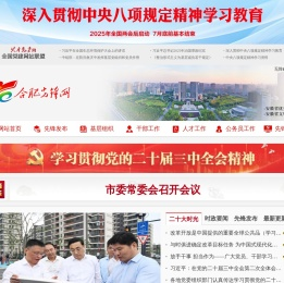 合肥先锋网