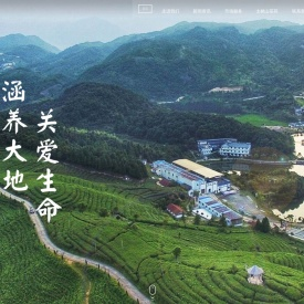 绿雪芽【官网】福鼎白茶_太姥山白茶_绿雪芽白茶_白茶标杆-茶业加盟