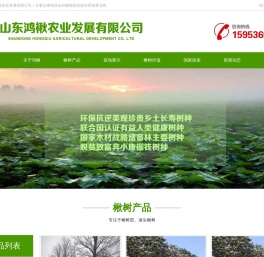 楸树苗,速生楸树-山东鸿楸农业发展有限公司