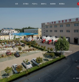 诸城日龙食品有限公司_肉类调理品,熟食品,肉串,油炸