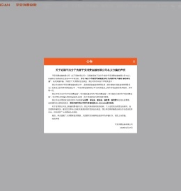平安消费金融有限公司