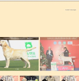 拉布拉多-勇峰拉布拉多犬舍|拉布拉多犬|拉不拉多 - 勇峰犬舍