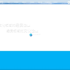安徽华文国际经贸股份有限公司