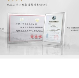 主页 - 山东小鸭控股集团有限公司
