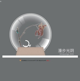 漫步光阴